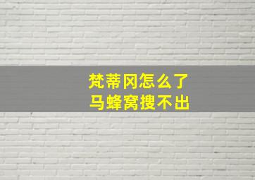 梵蒂冈怎么了 马蜂窝搜不出